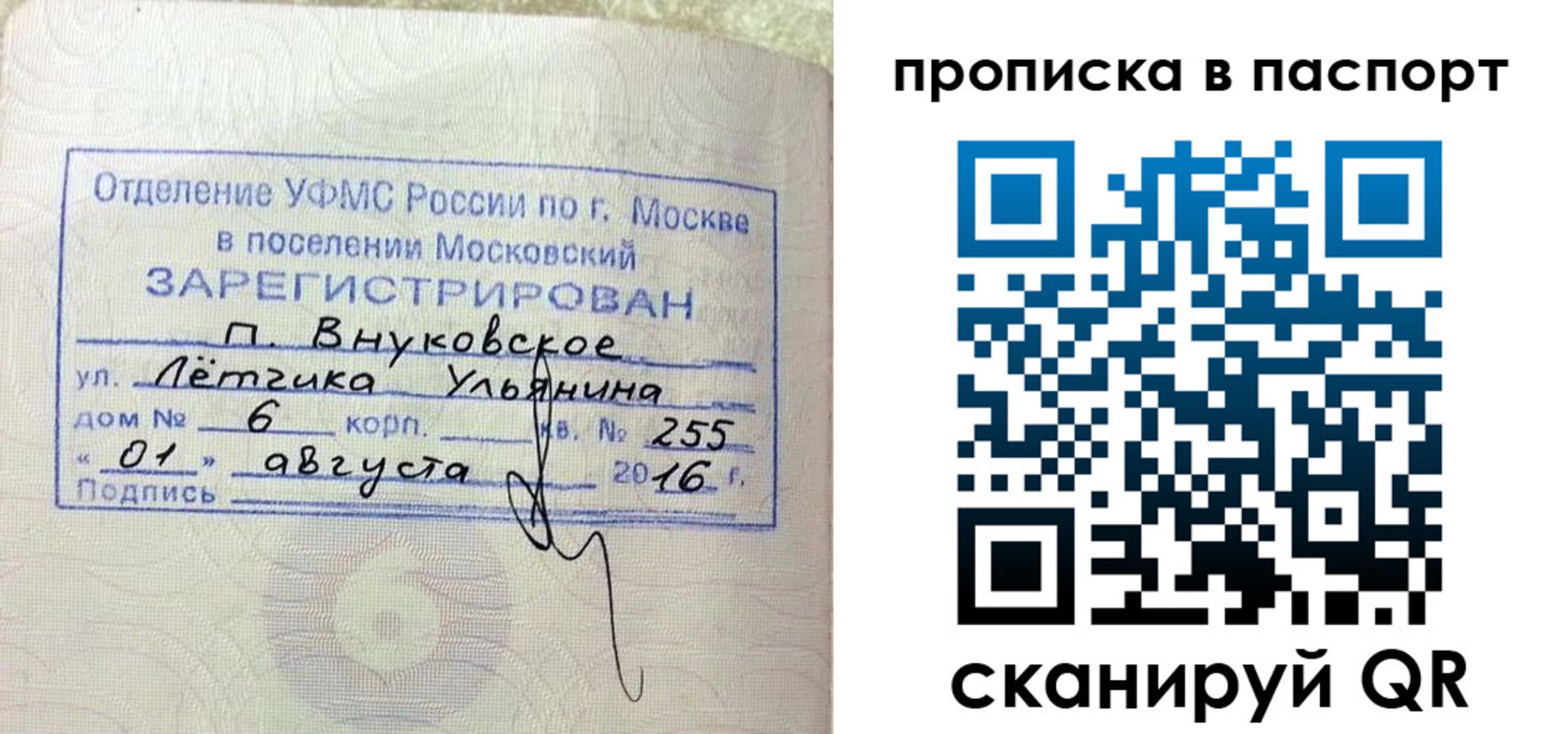 временная прописка в Елизово