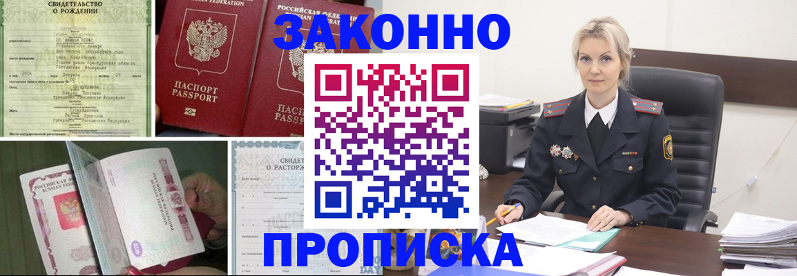 прописка 2025 в Елизово